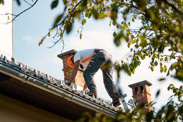 Best Roof Gutter Cleaning  in Cloverleaf, TX